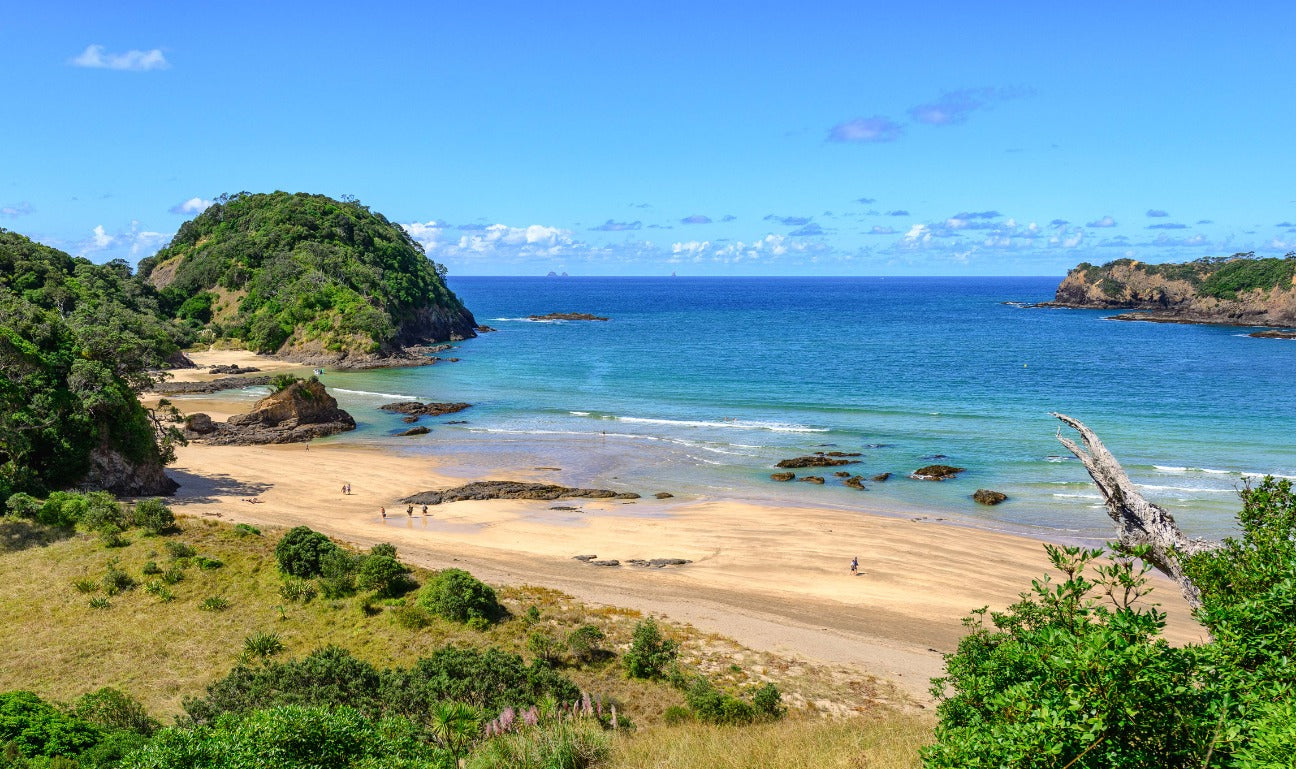 Bay of Islands Scenic Flight