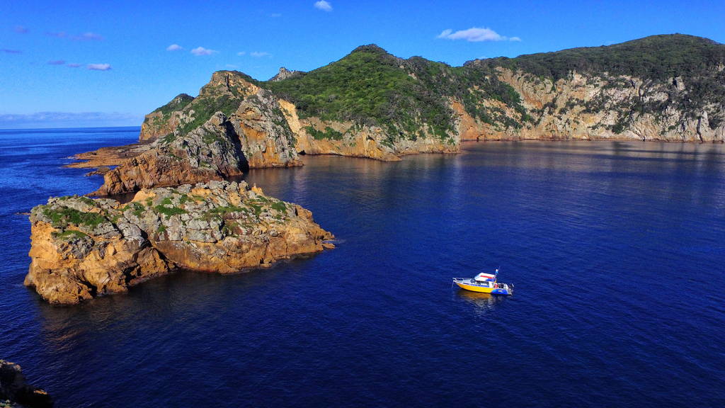 Bay of Islands Scenic Flight